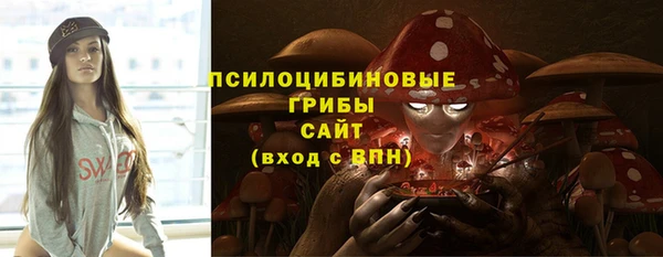 бутират Белокуриха
